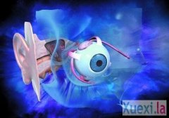 �����Ķ��еġ��ӵ㡱������Ұ����